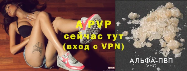 ПСИЛОЦИБИНОВЫЕ ГРИБЫ Кулебаки