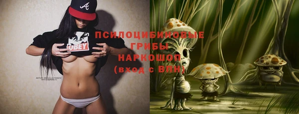 ПСИЛОЦИБИНОВЫЕ ГРИБЫ Кулебаки