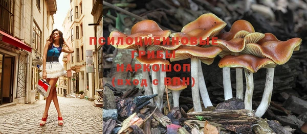 ПСИЛОЦИБИНОВЫЕ ГРИБЫ Кулебаки