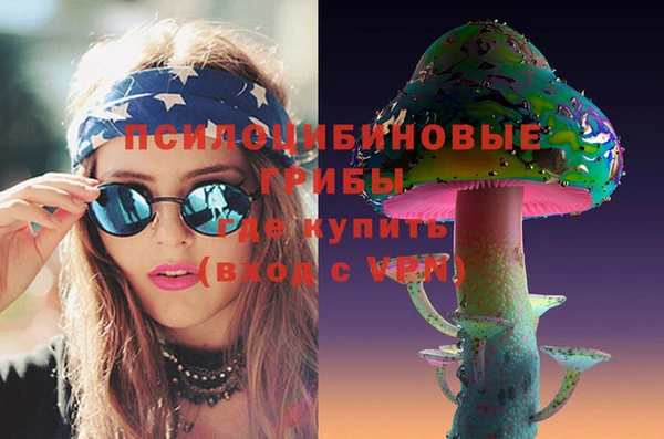 ПСИЛОЦИБИНОВЫЕ ГРИБЫ Кулебаки