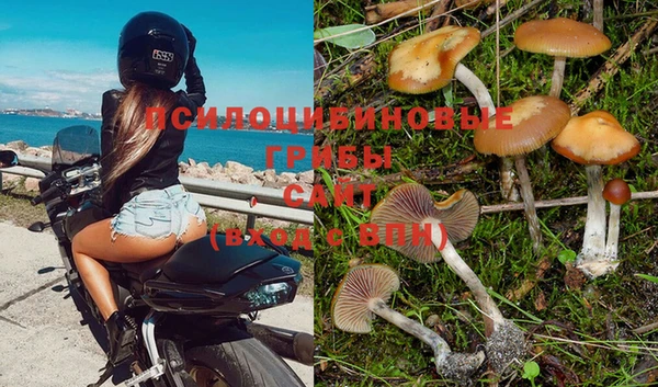 молекула духа Куйбышев