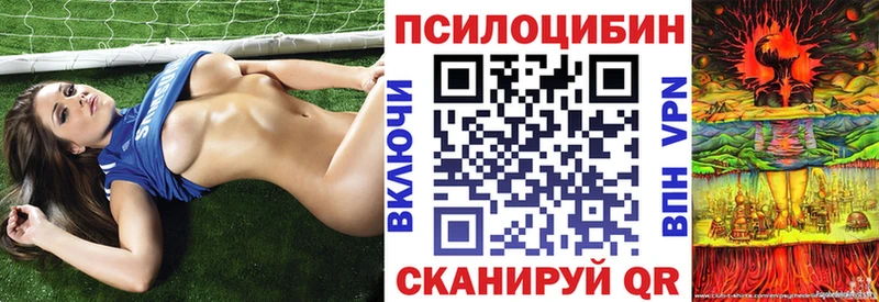 Купить где  Мариинск  Галлюциногенные грибы прущие грибы 